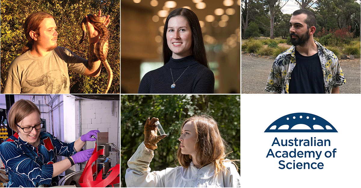 Mining museum venom, bee memories and more: 2023 J G Russell awardees